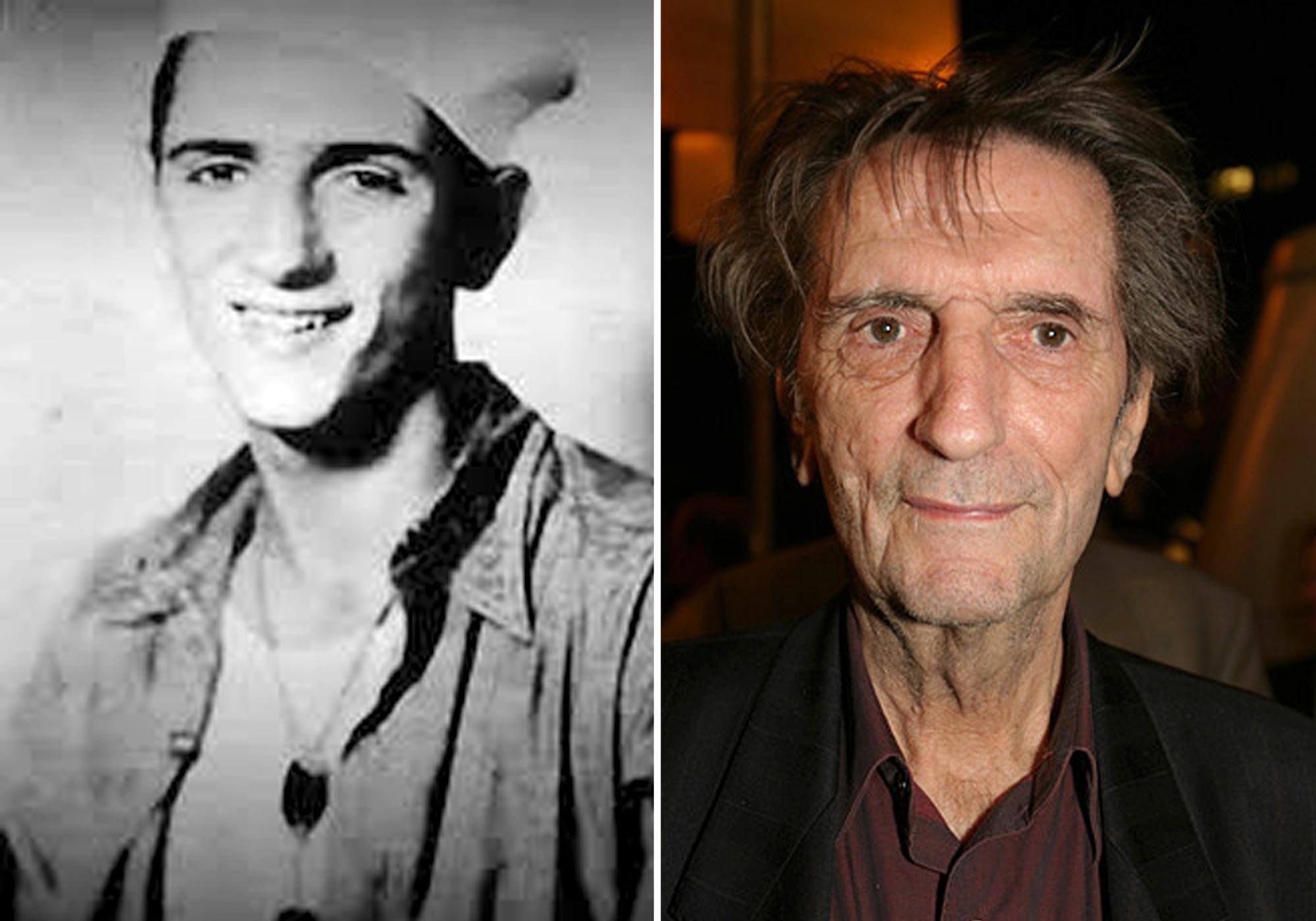 Harry Dean Stanton