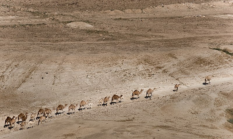 Russian Izvestia: Israel’s Jordan Valley Annexation Plan To Derail Peace Talks With Palestinians